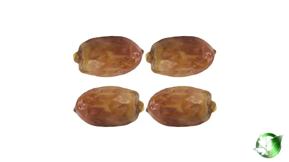 Bulk Zahedi Dates | Suppliers | Wholesale | ParsaFood Global
